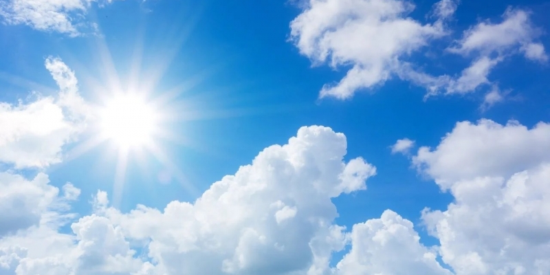 Qual o impacto do clima no universo das pragas urbanas