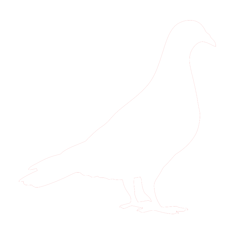 Controle de Aves